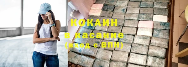 твердый Каменка