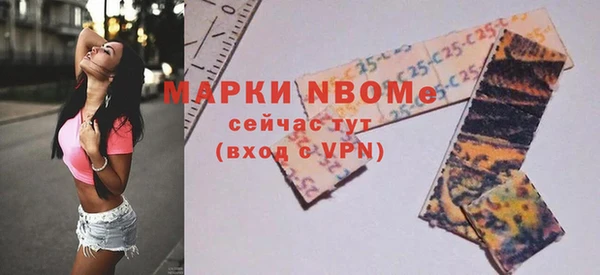прущие грибы Каменногорск