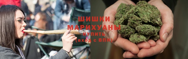 прущие грибы Каменногорск