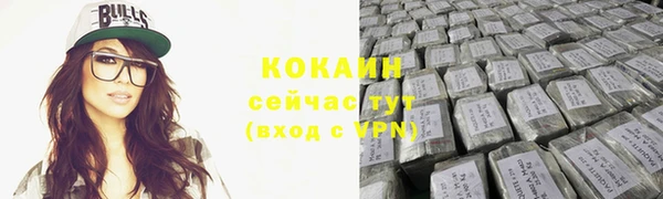 прущие грибы Каменногорск