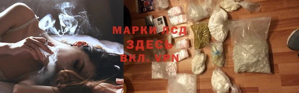 прущие грибы Каменногорск