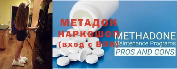 прущие грибы Каменногорск