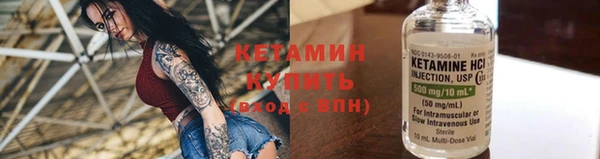 прущие грибы Каменногорск