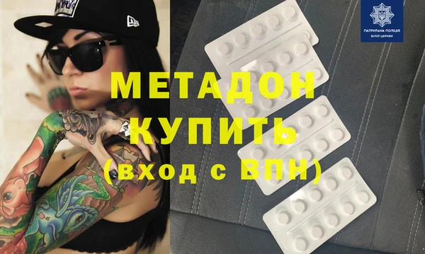 прущие грибы Каменногорск