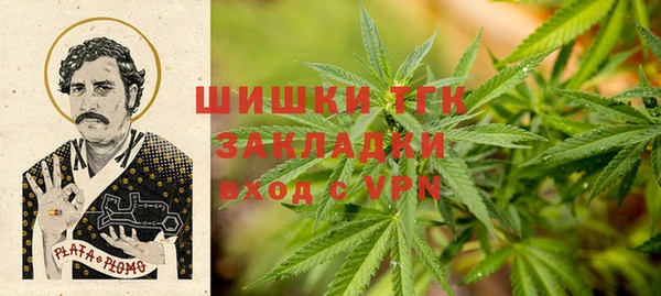 прущие грибы Каменногорск