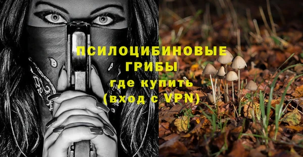 прущие грибы Каменногорск
